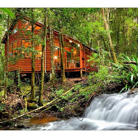 Vila The Mouses House Rainforest Retreat Springbrook Exteriér fotografie