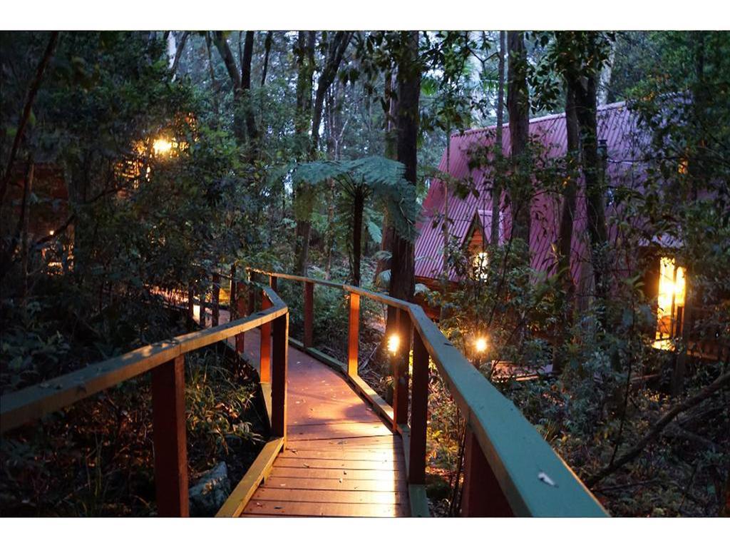 Vila The Mouses House Rainforest Retreat Springbrook Exteriér fotografie