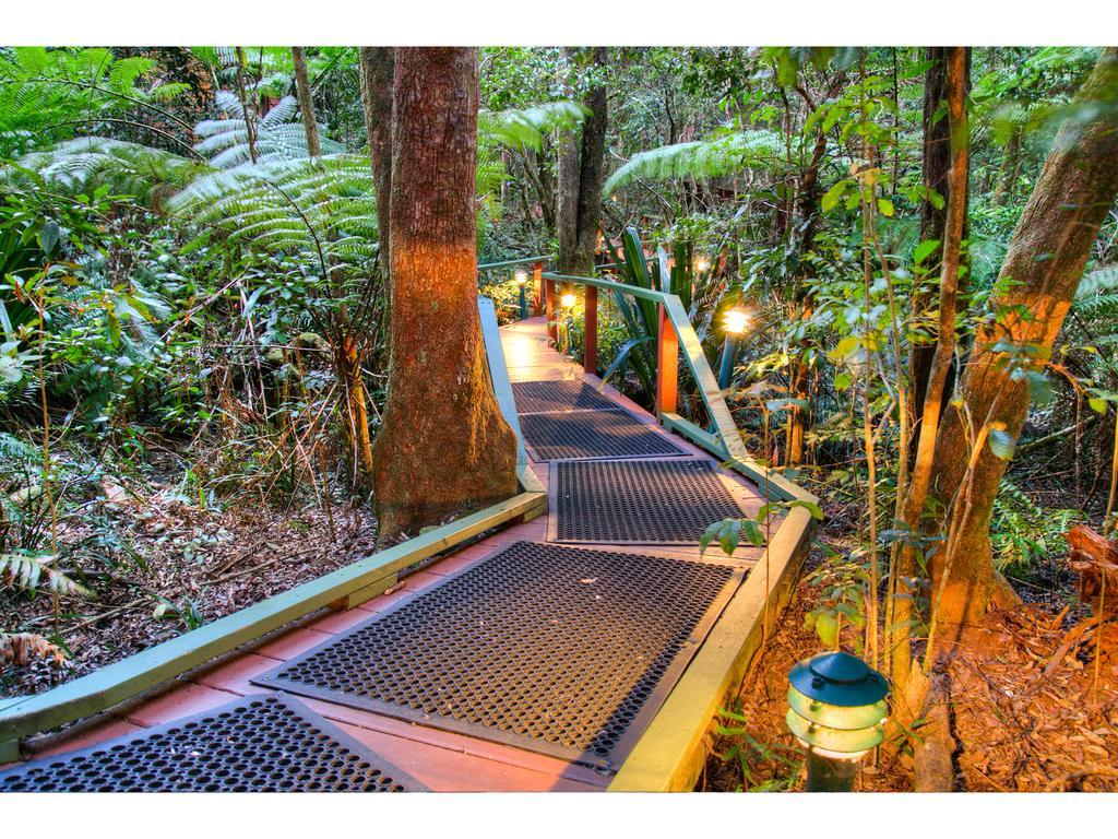 Vila The Mouses House Rainforest Retreat Springbrook Exteriér fotografie