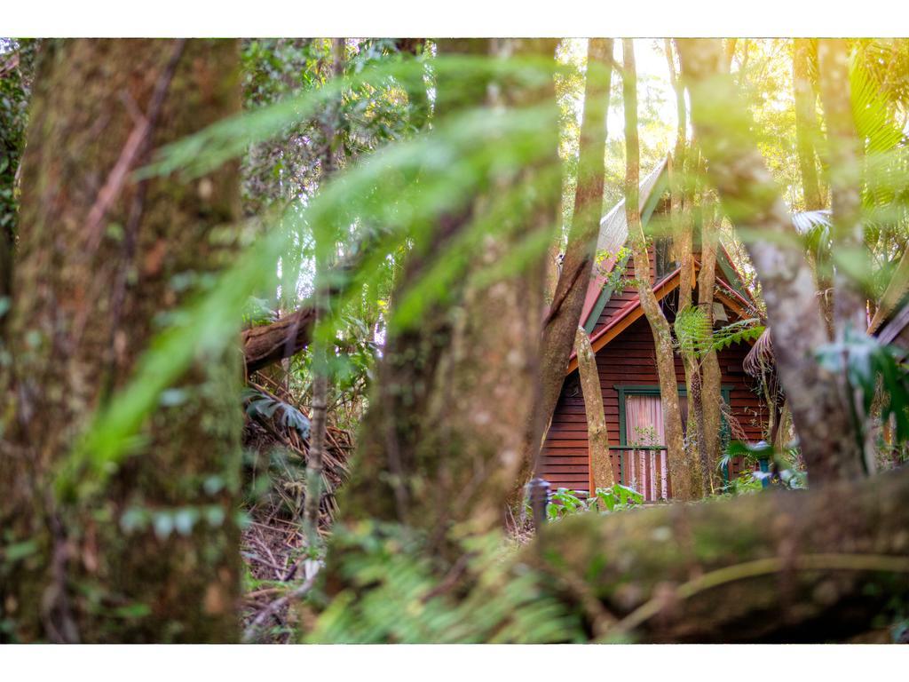 The Mouses House Rainforest Retreat Springbrook Exteriér fotografie
