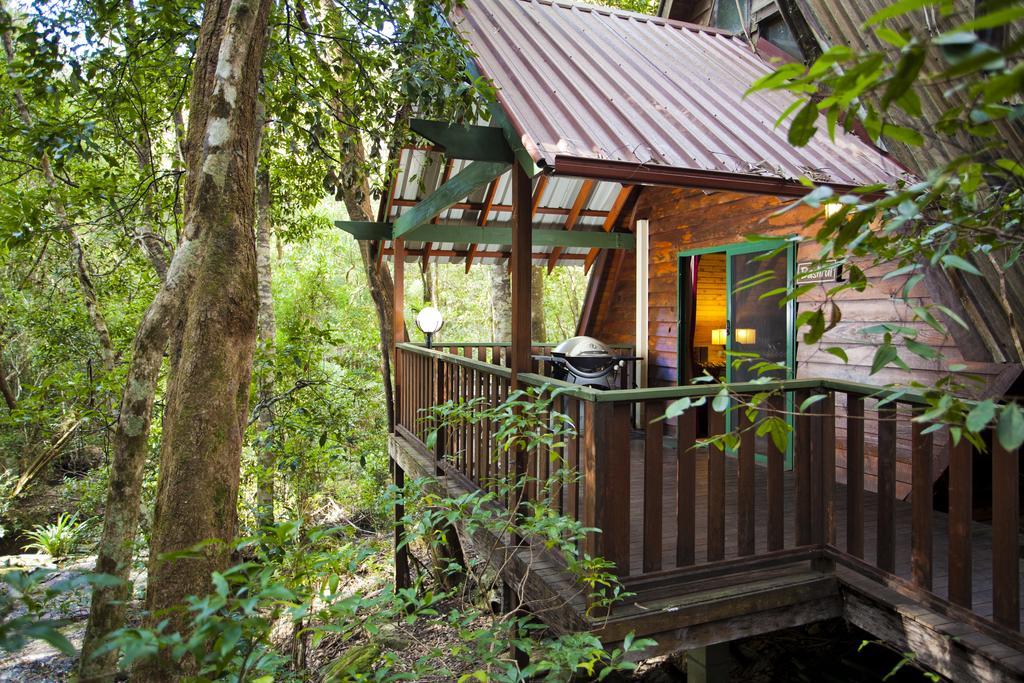 Vila The Mouses House Rainforest Retreat Springbrook Exteriér fotografie