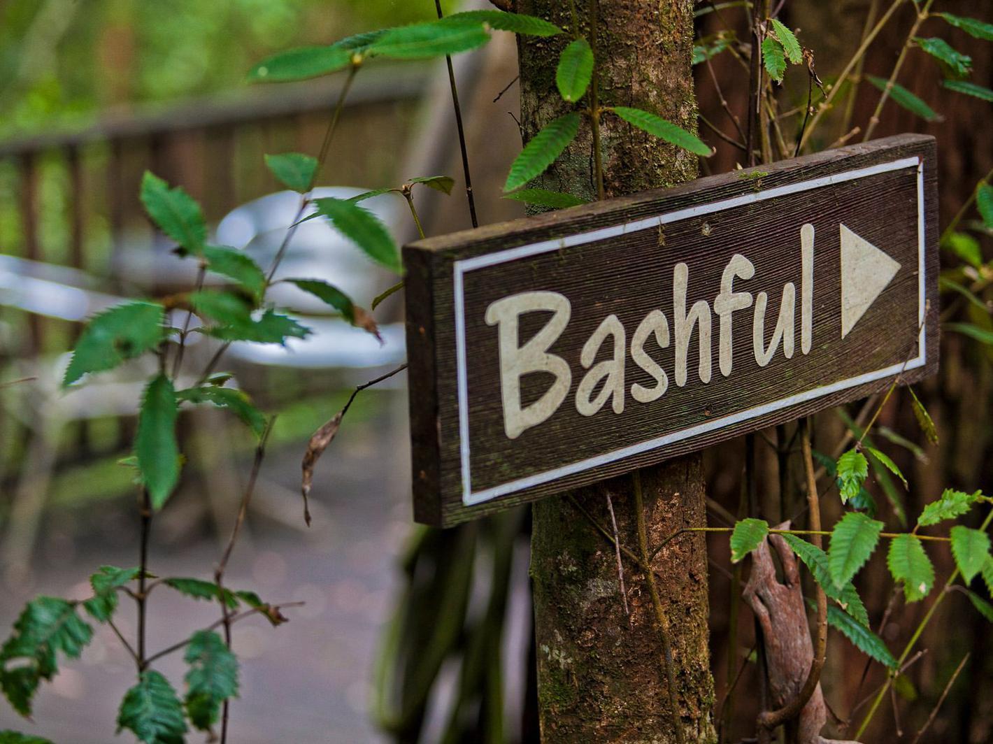 The Mouses House Rainforest Retreat Springbrook Exteriér fotografie