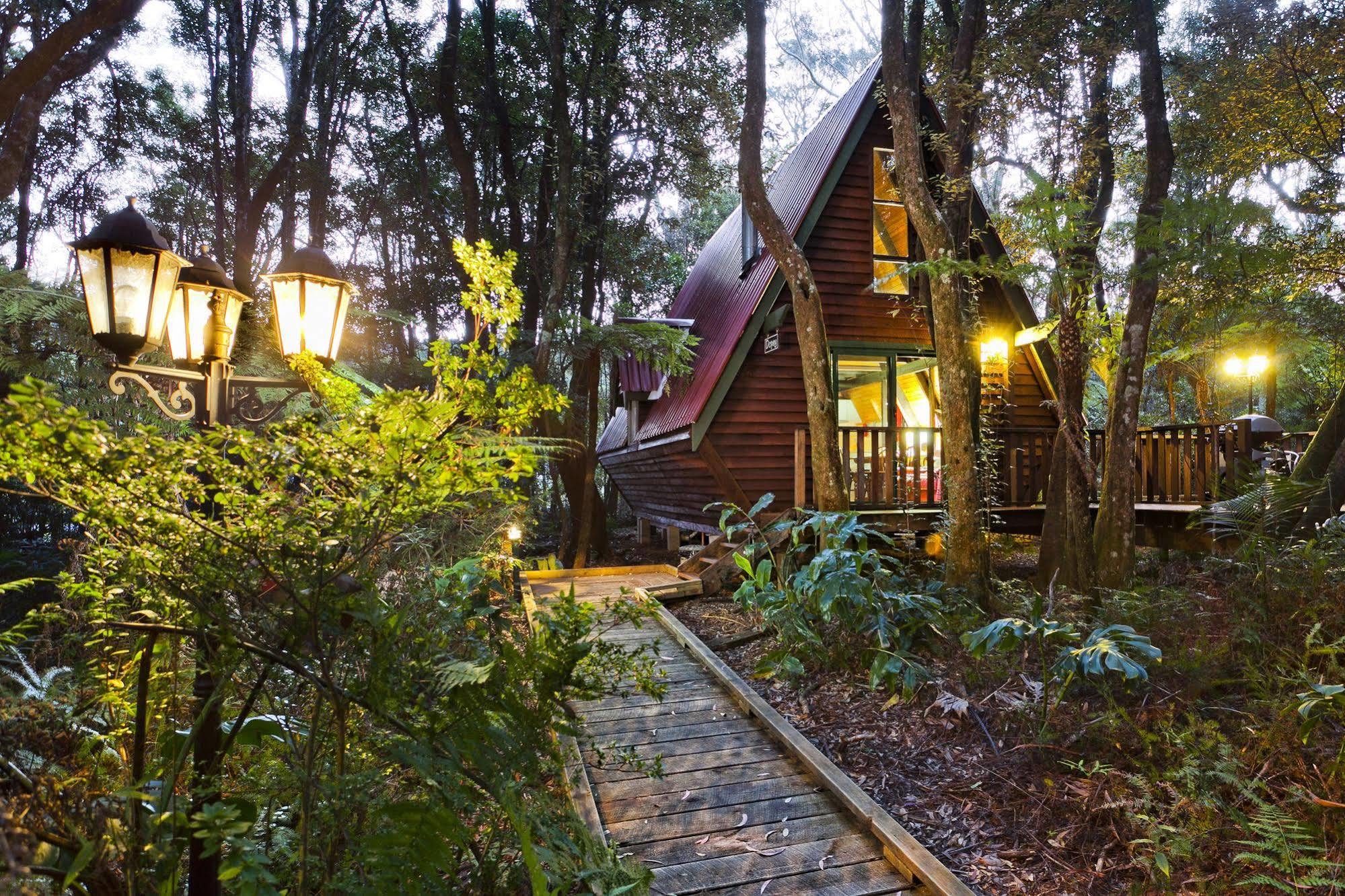 The Mouses House Rainforest Retreat Springbrook Exteriér fotografie