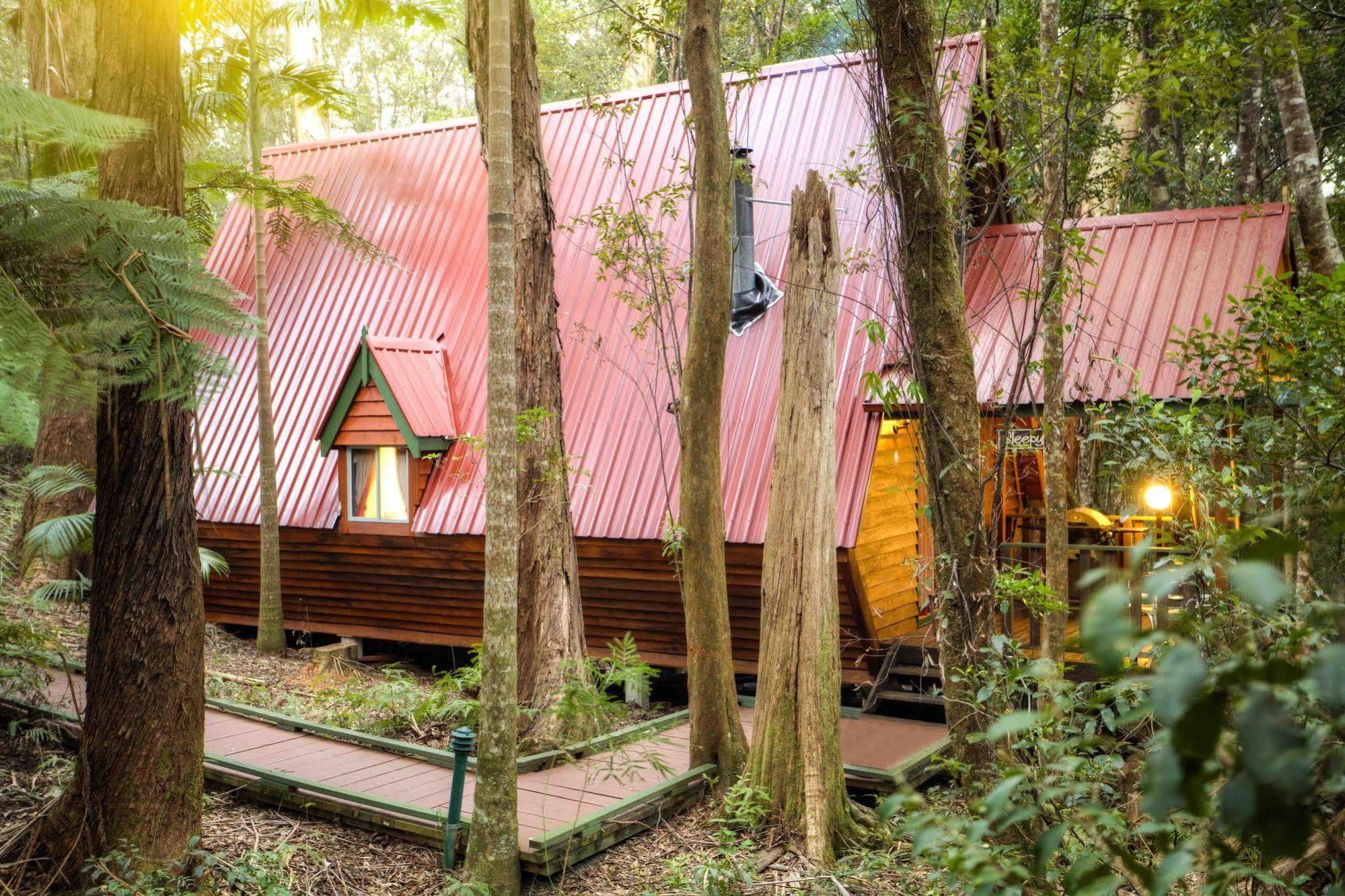 Vila The Mouses House Rainforest Retreat Springbrook Exteriér fotografie