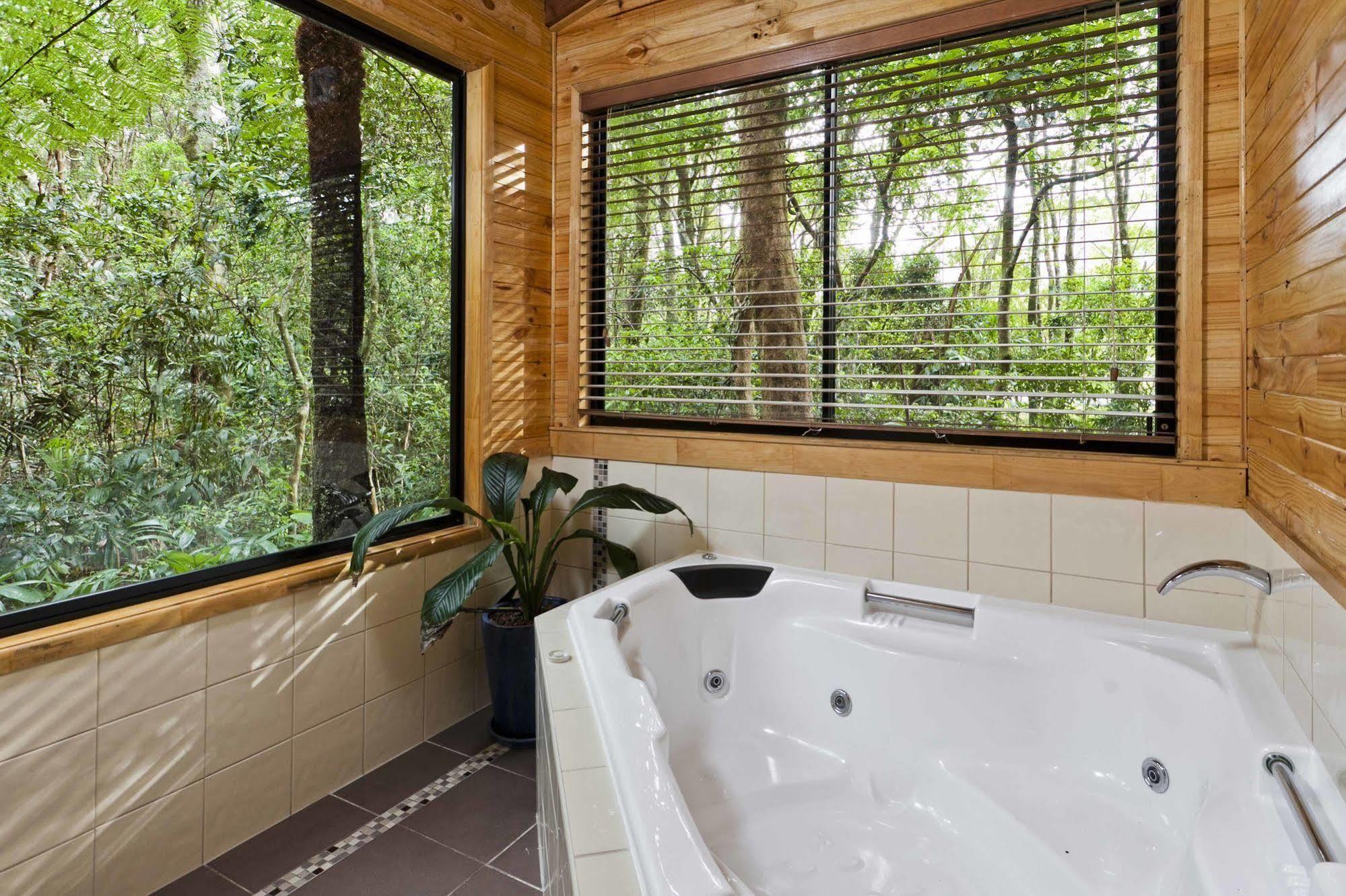 The Mouses House Rainforest Retreat Springbrook Exteriér fotografie