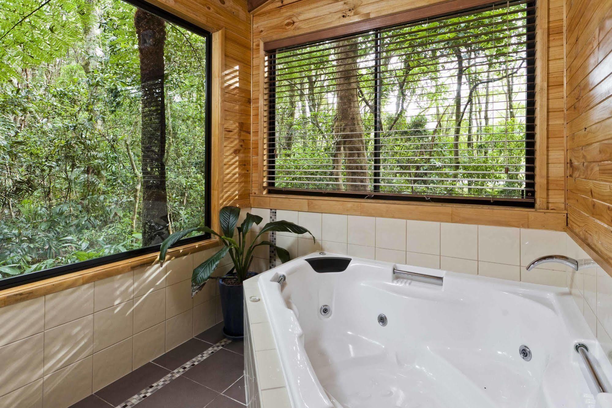 Vila The Mouses House Rainforest Retreat Springbrook Exteriér fotografie